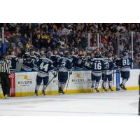 Worcester Railers exchange congratulations along the bench