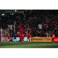 Chicago Fire FC play to the crowd after a goal