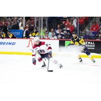 South Carolina Stingrays forward Stan Cooley