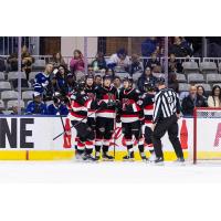 Belleville Senators gather after a goal
