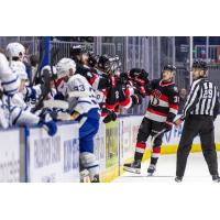 Belleville Senators exchange congratulations along the bench