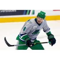 Florida Everblades defenseman Jordan Sambrook