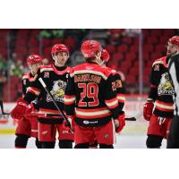Grand Rapids Griffins left wing Nate Danielson