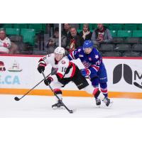 Belleville Senators centre Philippe Daoust vs. the Rochester Americans