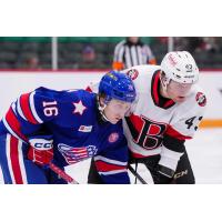 Belleville Senators forward Arthur Kaliyev (right) vs. the Rochester Americans
