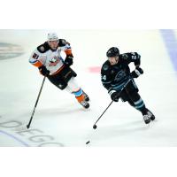San Jose Barracuda forward Oliver Wahlstrom (right) vs. the San Diego Gulls