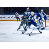 Defenseman Peyton Kettles with the Swift Current Broncos