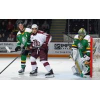 Peterborough Petes right wing Matthew Soto vs. the London Knights