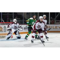 Peterborough Petes goaltender Masen Johnston and defenceman Thanasi Marentette