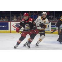 Grand Rapids Griffins vs. the Chicago Wolves