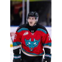 Kelowna Rockets left wing Tomas Poletin
