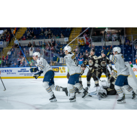 Springfield Thunderbirds celebrate a goal against the Hershey Bears