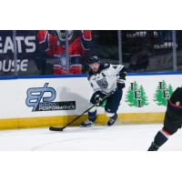 Worcester Railers' Anthony Callin in action