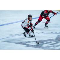 Rapid City Rush's Ryan Miotto and Allen Americans' Colton Hargrove on the ice