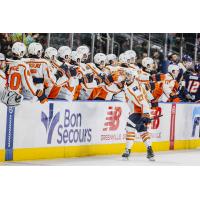 Greenville Swamp Rabbits' Carter Savoie congratulated by team