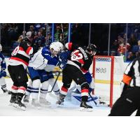 Belleville Senators right wing Xavier Bourgault vs. the Syracuse Crunch