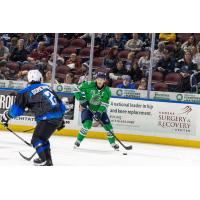 Florida Everblades forward Oliver Chau