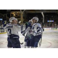 Maine Mariners celebrate a goal