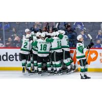 Texas Stars celebrate the overtime winner