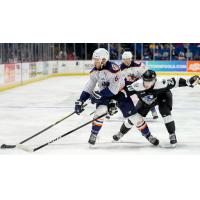 Wichita Thunder battle the Tulsa Oilers