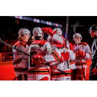 Grand Rapids Griffins celebrate a goal