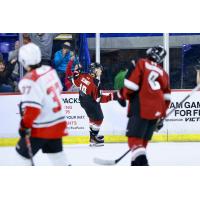 Vancouver Giants right wing Cameron Schmidt reacts after a goal