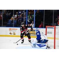 Belleville Senators right wing Xavier Bourgault vs. the Rochester Americans