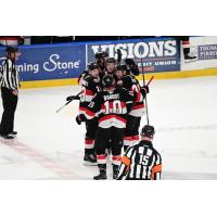 Belleville Senators celebrate a goal vs. the Rochester Americans