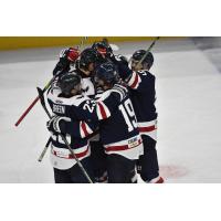 South Carolina Stingrays celebrate a goal