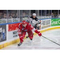 Allen Americans defenseman Sam Sedley vs. the Wichita Thunder