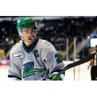 Florida Everblades forward Oliver Chau
