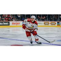 Grand Rapids Griffins defenseman Jacob Truscott