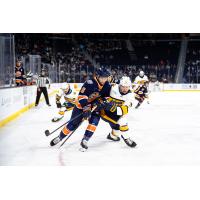 Atlanta Gladiators engage with the Greenville Swamp Rabbits