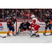 Flint Firebirds goaltender Mason Vaccari vs. the Soo Greyhounds