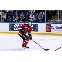 Kelowna Rockets left wing Tomas Poletin