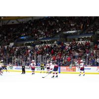 South Carolina Stingrays in front of the home fans at North Charleston Coliseum