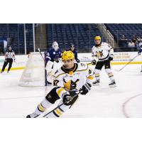 Wheeling Nailers forward Jordan Kaplan