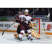 Peterborough Petes left wing Adam Novotný