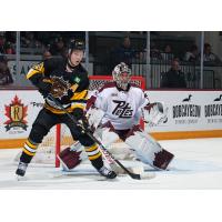 Peterborough Petes goaltender Easton Rye vs. the Brantford Bulldogs