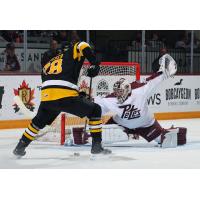 Peterborough Petes goaltender Easton Rye vs. the Brantford Bulldogs