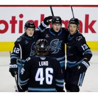San Jose Barracuda gather following a goal