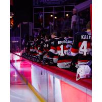 Belleville Senators during pregame