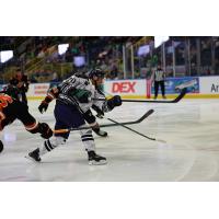 Florida Everblades forward Oliver Chau