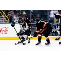 Florida Everblades forward Logan Will (left)