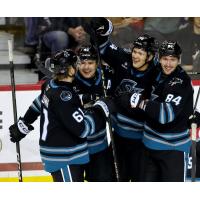 San Jose Barracuda gather following a goal
