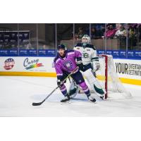 Worcester Railers forward Drew Callin vs. the Maine Mariners