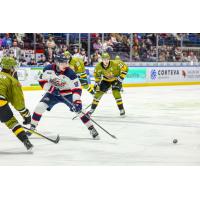 Saginaw Spirit right wing Nikita Klepov vs. the North Bay Battalion