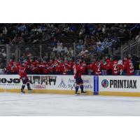 South Carolina Stingrays celebrate a goal along the bench