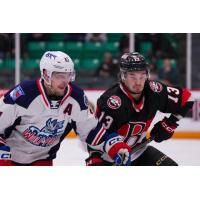Belleville Senators right wing Xavier Bourgault (right) vs. the Hartford Wolf Pack