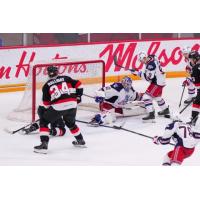 Belleville Senators centre Stephen Halliday in front of the Hartford Wolf Pack net